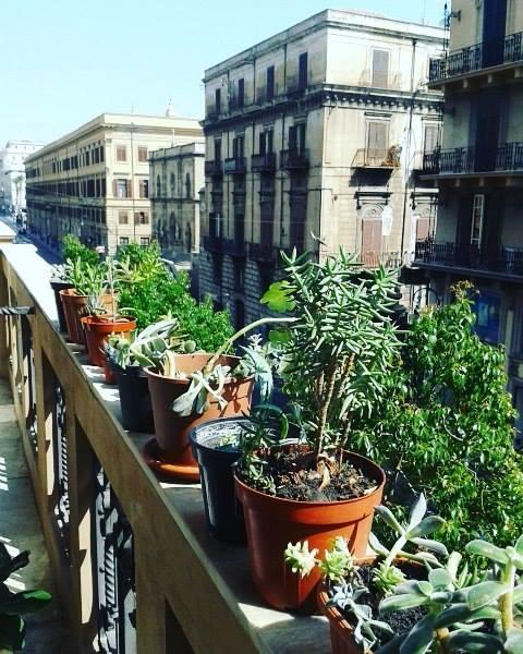 Palazzo Savona Palermo Exterior foto